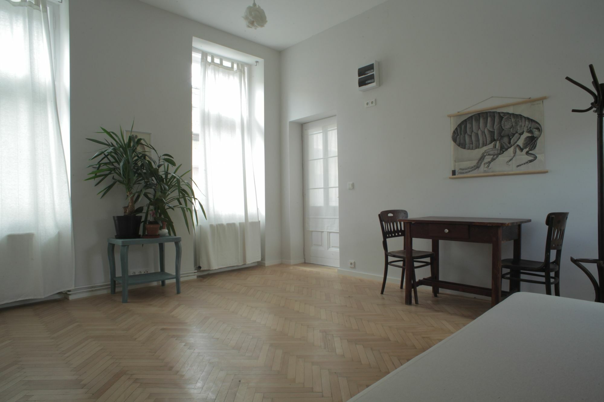 Bpm-Apartment Charm And Le Petit Budapest Esterno foto